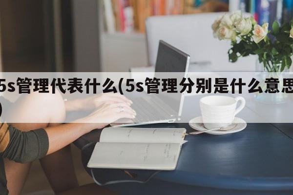 5s管理代表什么(5s管理分别是什么意思)