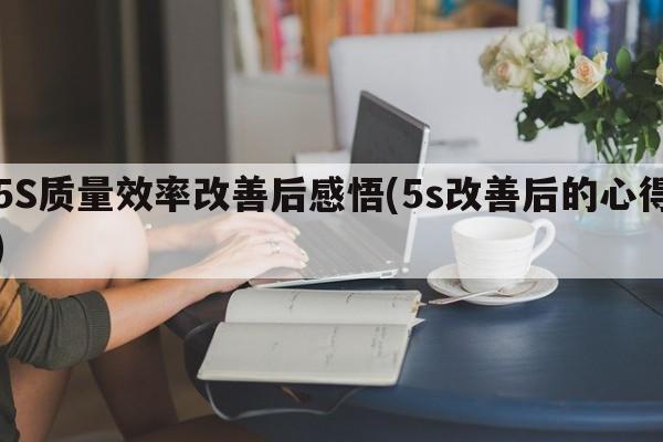 5S质量效率改善后感悟(5s改善后的心得)