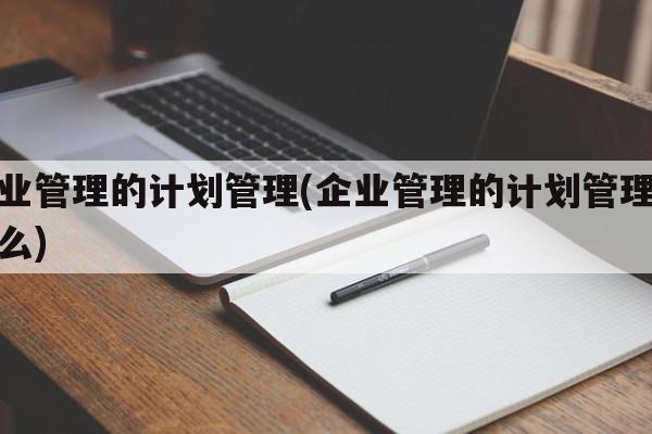 企业管理的计划管理(企业管理的计划管理是什么)